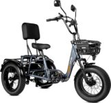 Top 10 Best Tricycles 2026