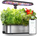 Top 10 Best Herb Gardens 2026